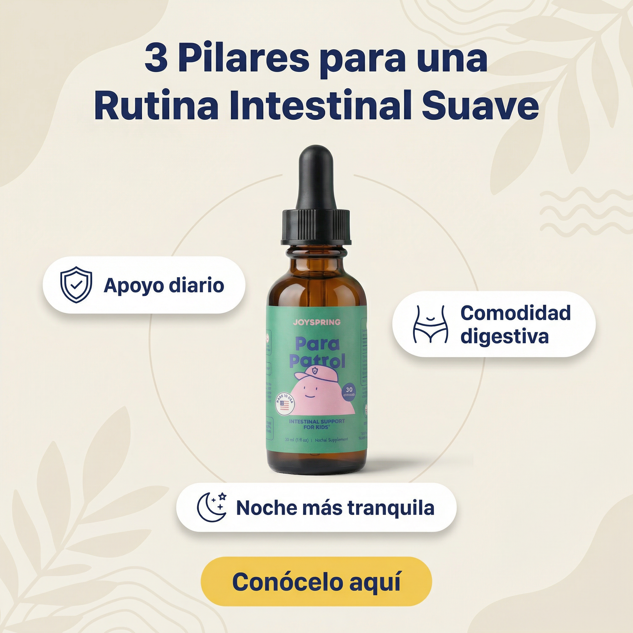 Para Patrol - JoySpring