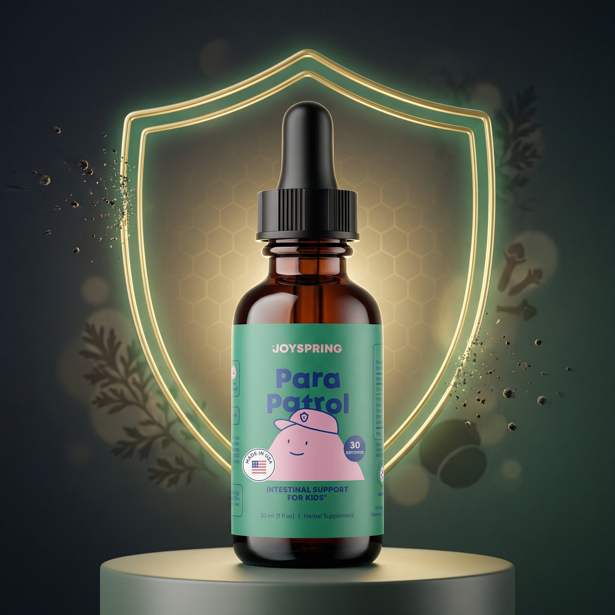 Para Patrol - JoySpring