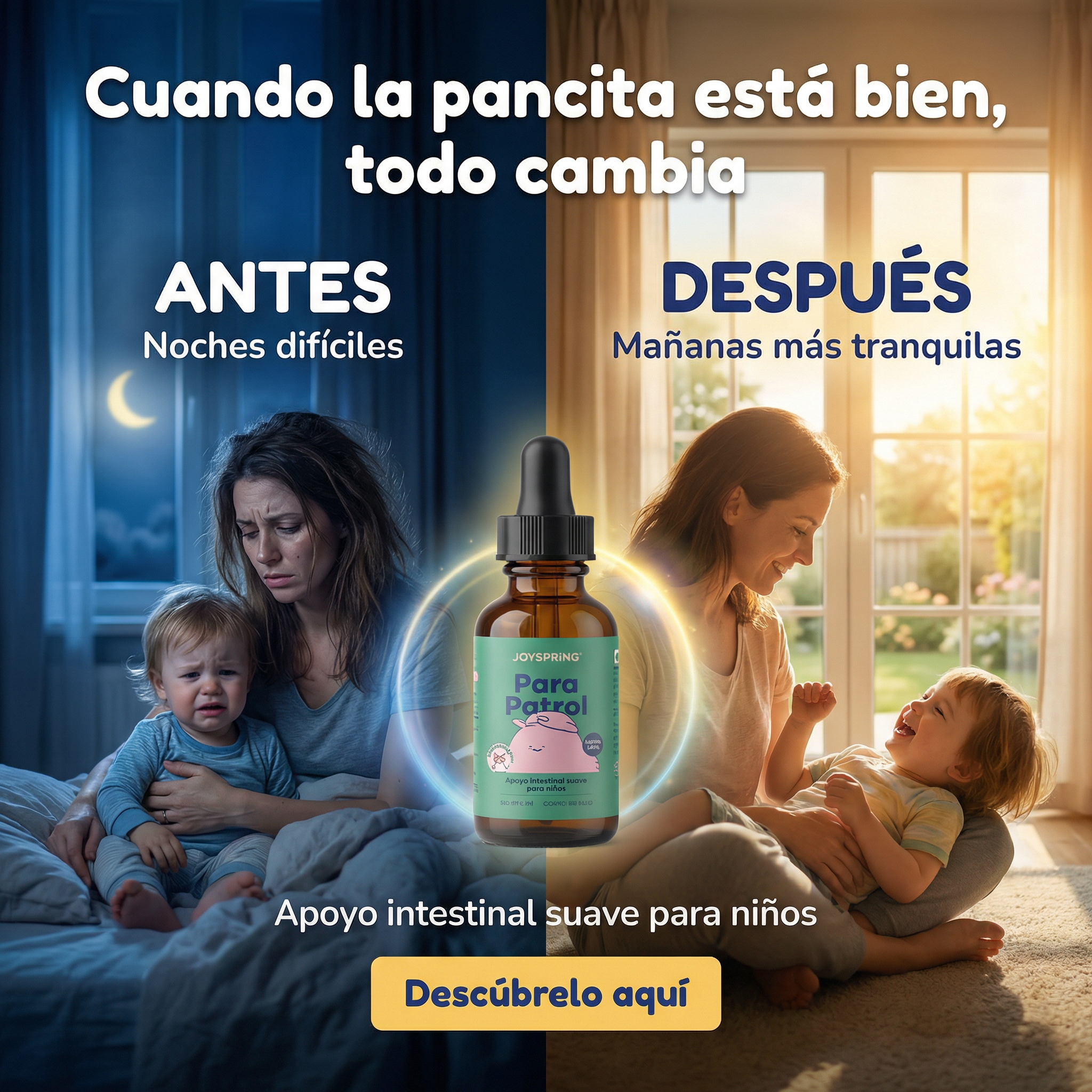 Para Patrol - JoySpring